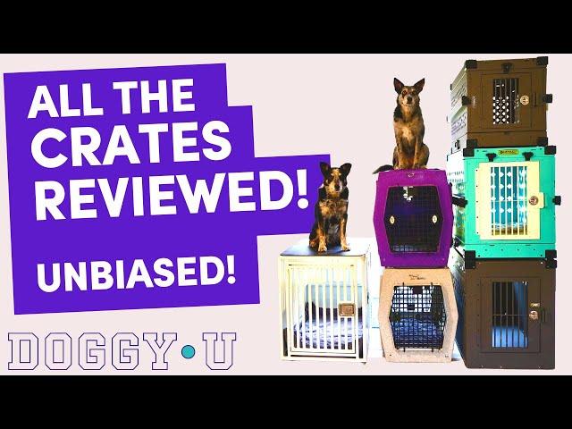 Which Dog CRATE is Right For Me? (and WHY crate at all?) Ruffland, Impact Crate Review & More!