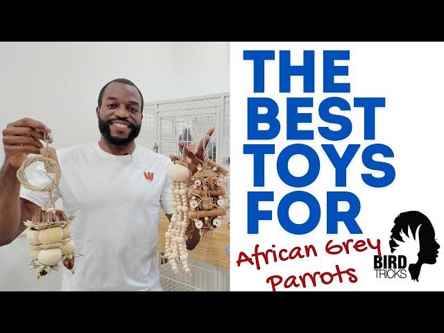 African Grey Parrots vs @BirdTricks  Exclusive Toy Line | Enrichment