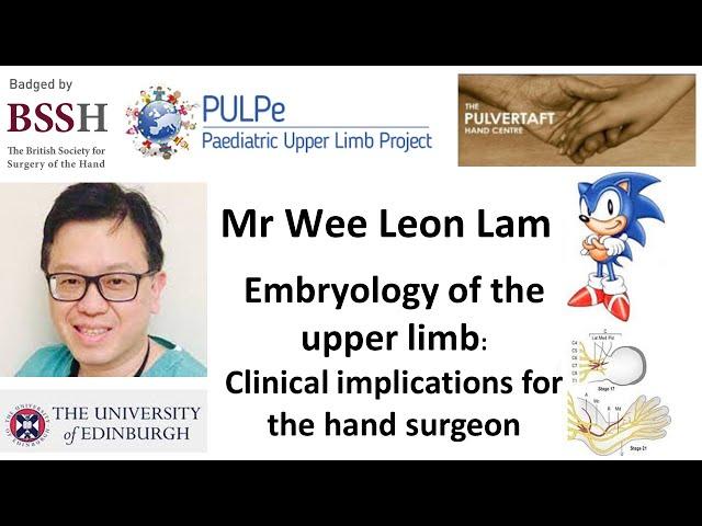 Embryology of the upper limb by Mr Wee Leon Lam