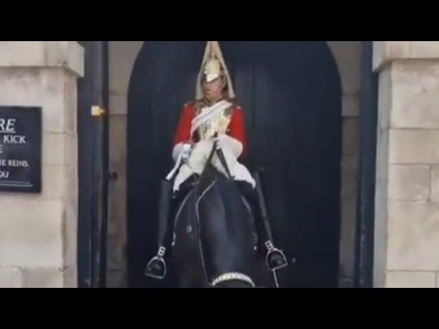 Most funniest moments at horse guards will have you laughing #kingsguard