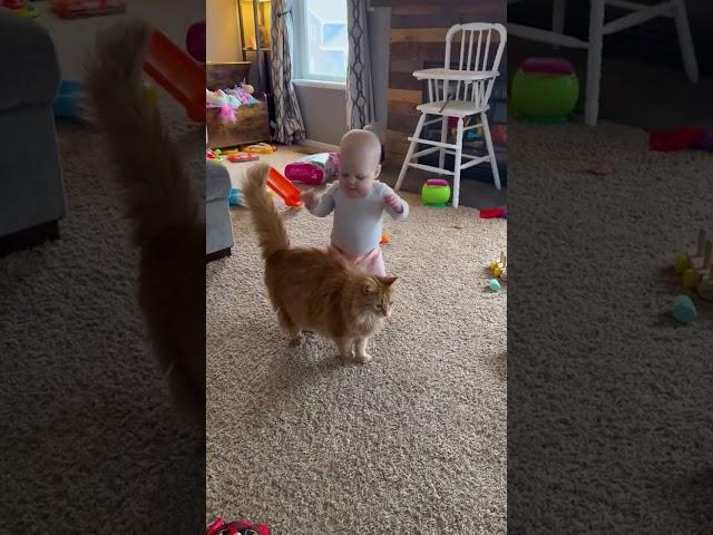 Adorable Fluffy Cat Helps Baby Take First Steps!!