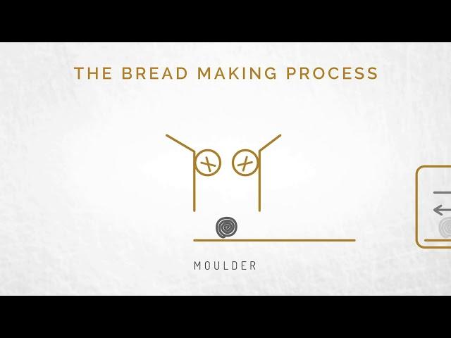 Lallemand Baking | The Art of Fermentation: Yeast in Breadmaking