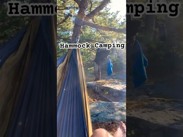 Hammock Camping is peak #camping #life #respect