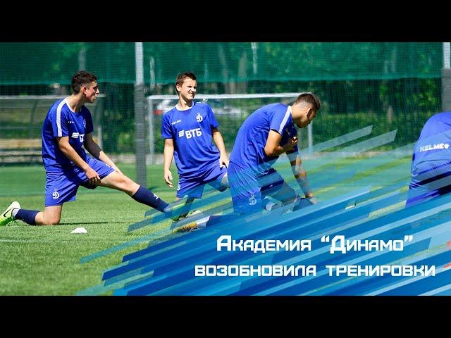 Академия "Динамо" возобновила тренировки