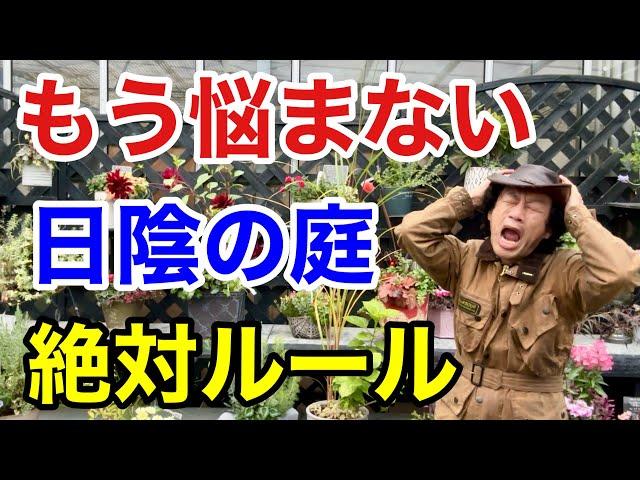 【実はよく育つ】日陰で植物を育てるなら必ずこれをして下さい　　　【カーメン君】【園芸】【ガーデニング】【初心者】