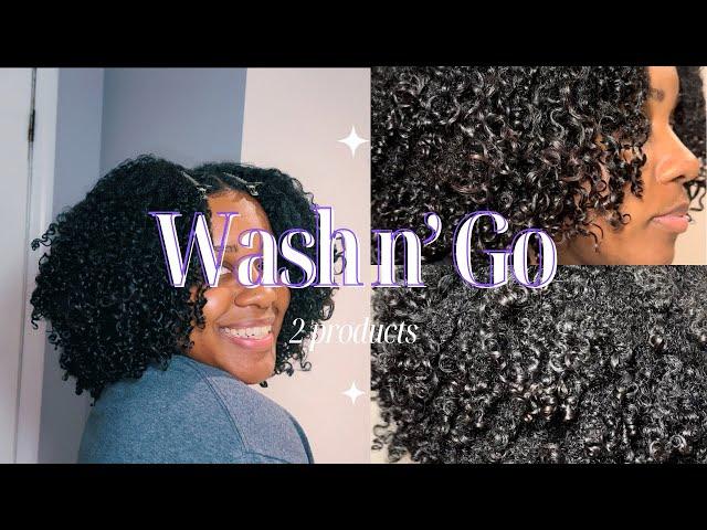 WASH N’ GO | FULL WASH DAY ROUTINE | LOW POROSITY HAIR | NATURAL HAIR