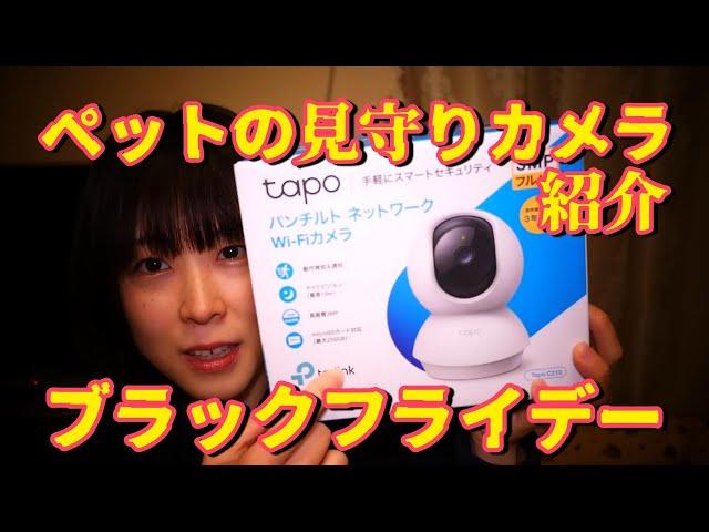 ペットの見守りカメラが激安！ブラックフライデーの戦利品紹介！