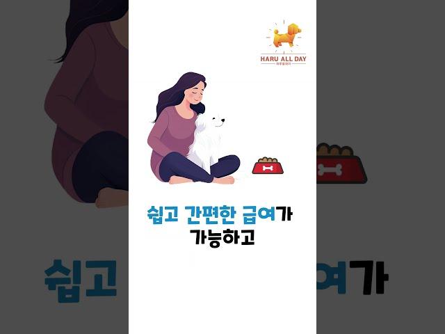 강아지 유산균 편리성 끝판왕을 소개합니다. (ft. 하루올데이 PROBIOTICS)