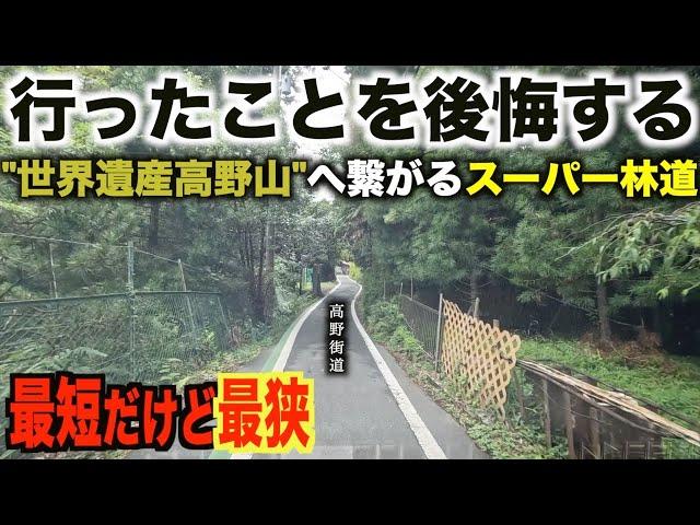 【裏ルート】高野山に繋がる狭すぎる林道が密かに存在していた...