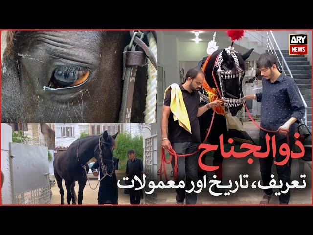 Zuljanah: brief history & routine of stallions attributable to one held by Imam Hussain