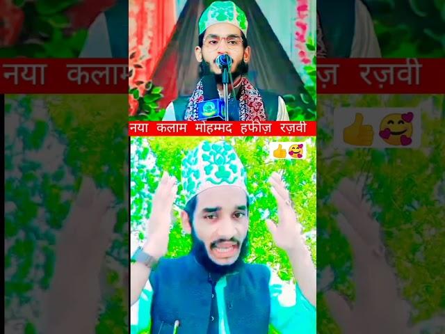 Mohd Hafiz Razvi official #Mohd_Hafiz_Razvi_Naat #noorAlinoor#gulam_noor#mohd_ali_faizi_naat