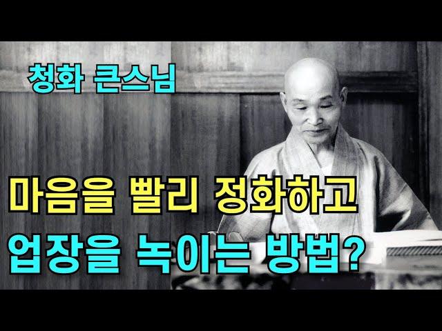 마음을 빨리 정화하고 업장을 녹이는 방법 | 부처님을 생각하는 염불공부를 끊임없이 해야 됩니다 | 청화스님 법문