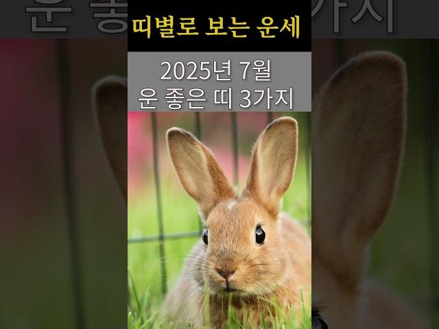 띠별로 보는 운세! 2025년 7월 운 좋은 띠 3가지!  #띠별운세