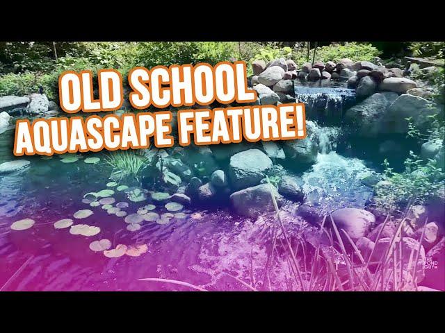 Old School *AQUASCAPE POND* in Central Illinois