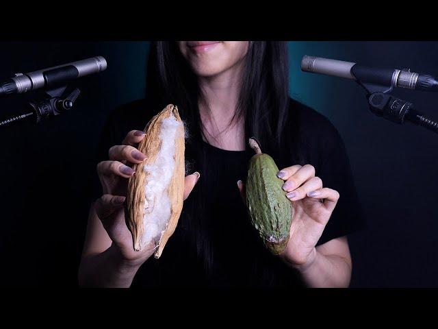 ASMR稀有道具来袭：奇怪棉花、解压新宠 | 拆箱轻语分享 EP32