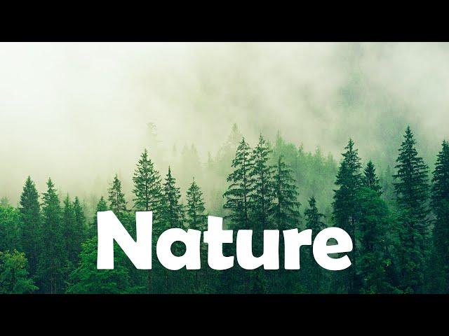 Nature No Copyright Music || Nature Music No Copyright (Vlog No Copyright Music)