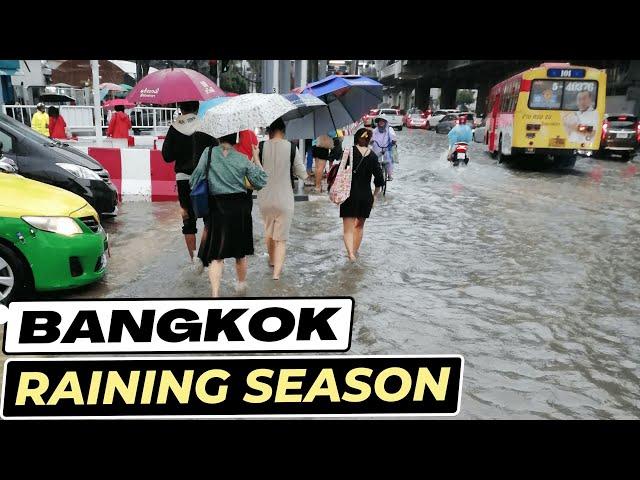 Best Things To Do in Bangkok's Raining Season