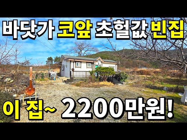 바닷가 코앞~ 2015년식 빈집 등장! 이 집~2,200만원에 사세요! 대지 143평 눈물나는 땅값 몽땅 0천만원