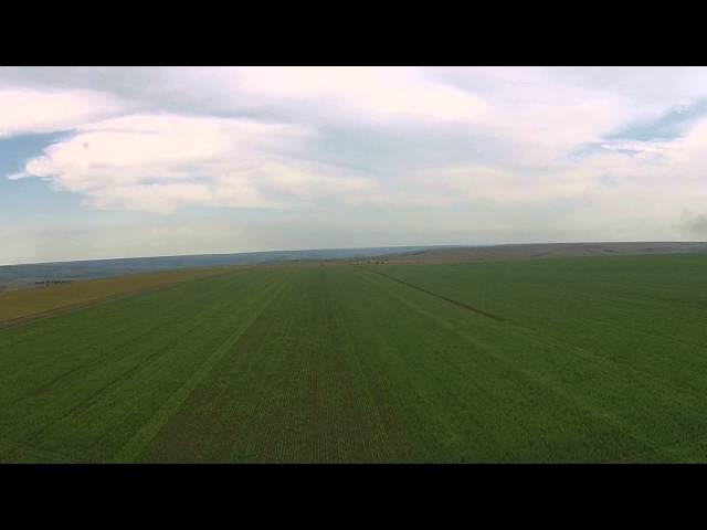 S E  Parc Agro aerial view of maize fields