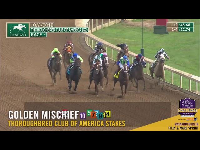 2018 Thoroughbred Club of America Stakes - Golden Mischief