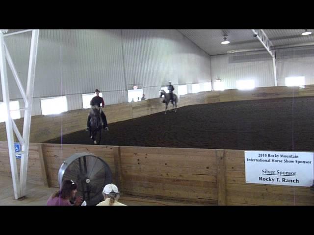 Wild Mountains Second Chance in the Show Ring