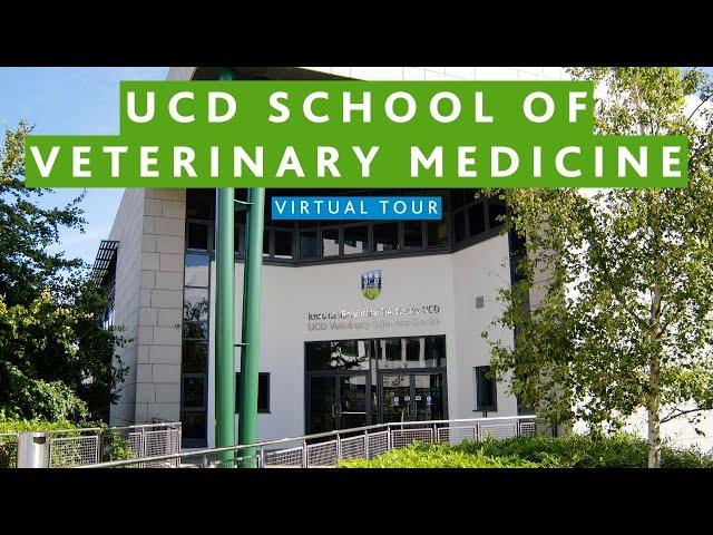 UCD School of Veterinary Medicine Virtual Tour | UCD Global