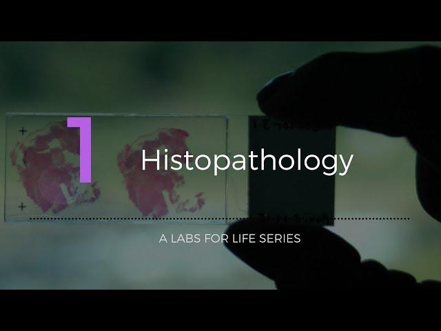 Histopathology