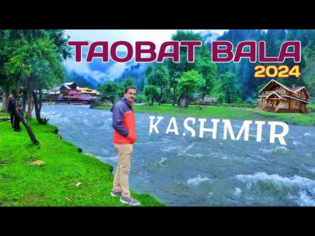 A Paradise in Kashmir || HIDDEN BEAUTY OF TAOBAT BALA || KASHMIR IN 2024 || A Haven for Natur Lovers