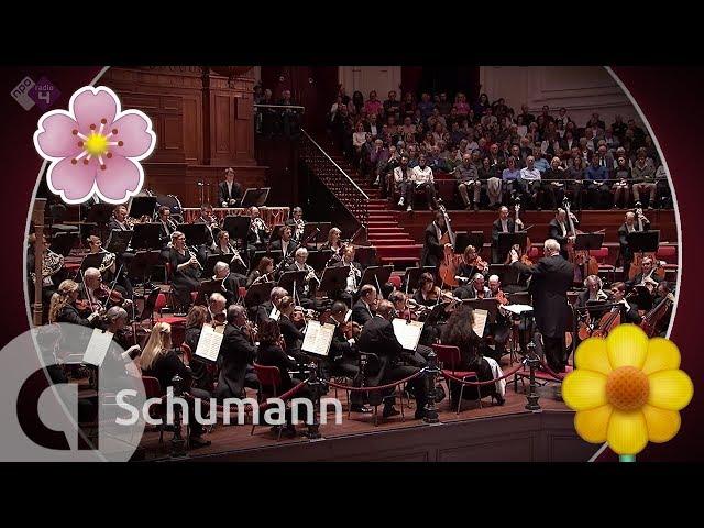 Schumann: Symphony No. 1; The Spring Symphony - Philharmonie Südwestfalen - Live Classical Music HD