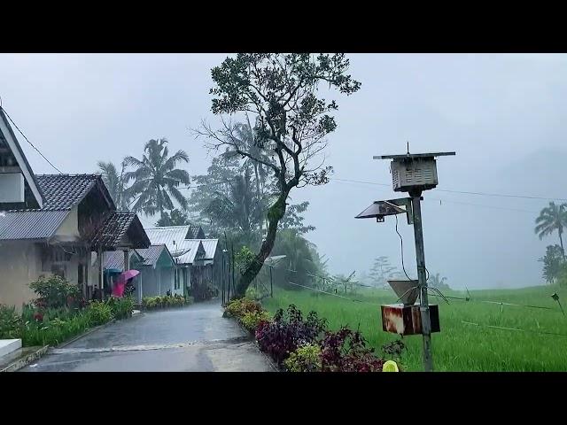 Heavy rain in beautiful hilly village||very strong and beautiful||indonesian village