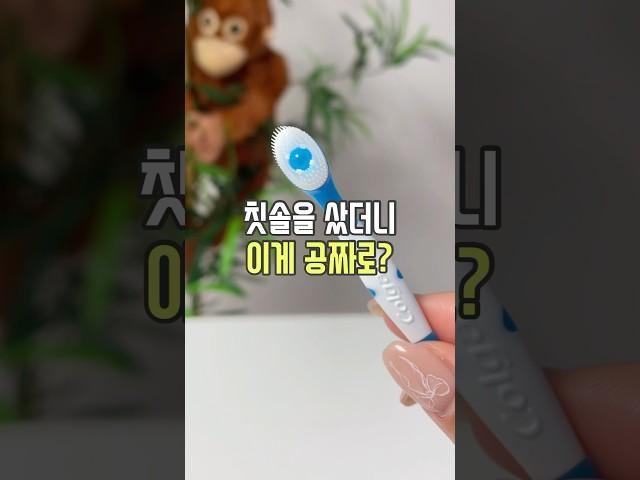 칫솔을 샀더니 이게 공짜?!  #리뷰몽키