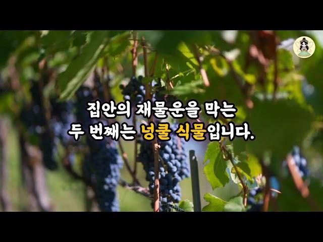 풍수요정님의 실시간 스트림