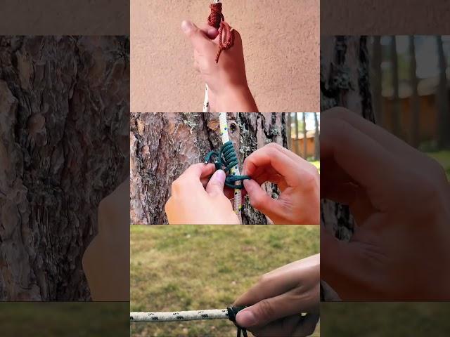 3 Prusik Knots in 1 Video  #knot #camping #outdoors #nature #survivalskills #bushcraft