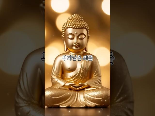 부처님이 가르쳐준 참회법, 이걸로 마음이 편해졌어요 | 자면서 듣는 부처님 말씀 #부처님말씀 #부처님의가르침 #석가모니인생조언 #불교가르침