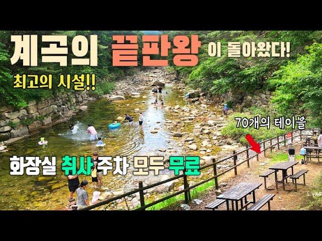모든 게 무료인 취사 가능 계곡 / 계곡 옆 소나무 숲에 화장실, 취사장, 주차장 모두 갖춘 최고의 계곡 / 악어섬이 한눈에 보이는 악어봉 산행 / 덕주피크닉존 / 계곡차박