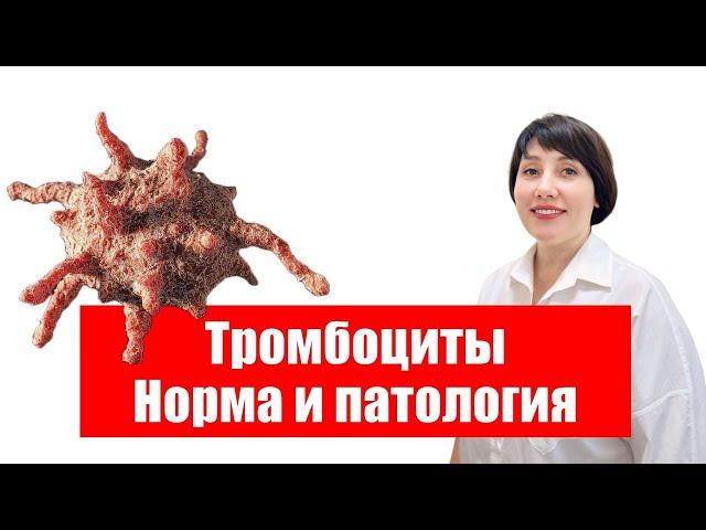 Тромбоциты. Норма и патология.