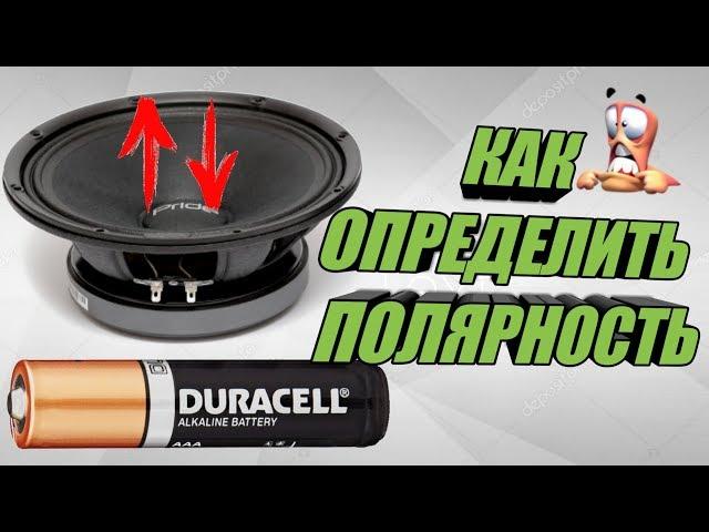 Как определить ПОЛЯРНОСТЬ ДИНАМИКА ( где ПЛЮС, где МИНУС )