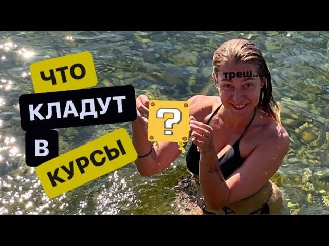 Лучшие курсы для тестировщика | ДЕШЕВО vs ДОРОГО