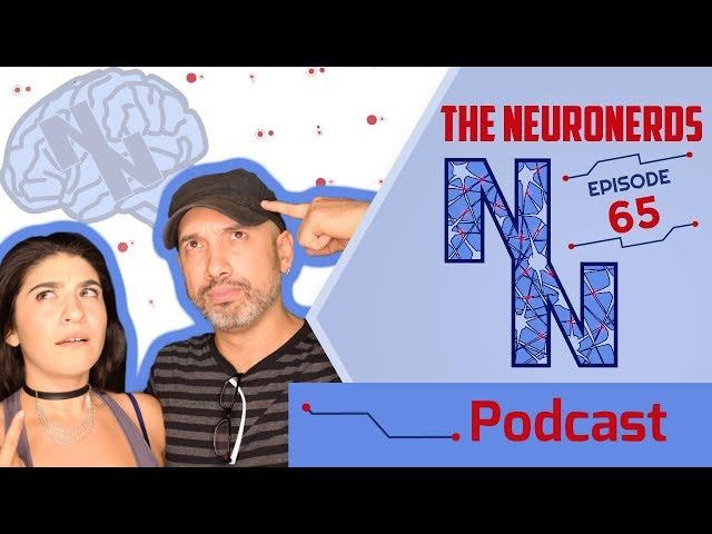 The NeuroNerds Podcast | Ep #65 - I Care For Your Brain: Stroke Awareness with Dr. Sullivan