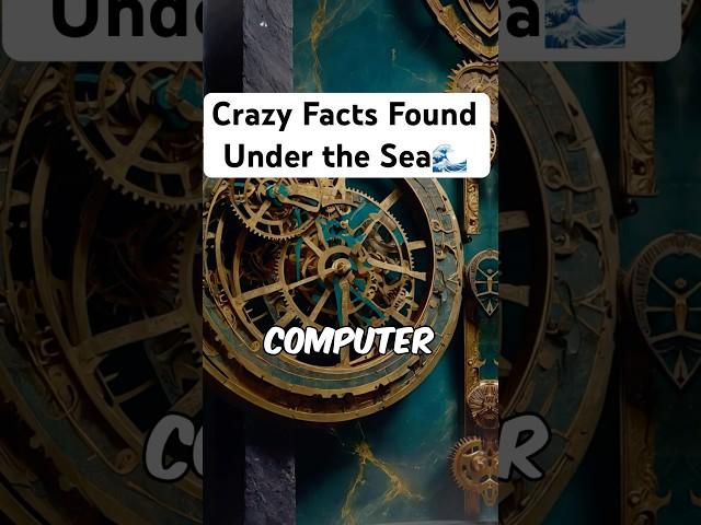 Crazy Facts Found Under the Sea #history #info #facts #information #allfacts #dailyfacts #sea