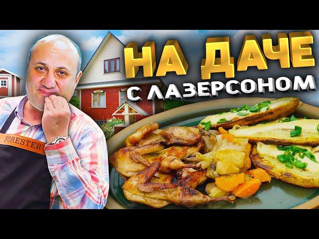 ДАЧА Ильи Лазерсона И ПТИЦА с КАРТОФЕЛЬНЫМИ Лаптями