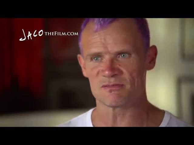 Flea on Jaco Pastorius's Musicianship