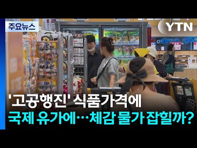 '고공행진' 식품가격에 국제 유가에...체감 물가 잡힐까? / YTN