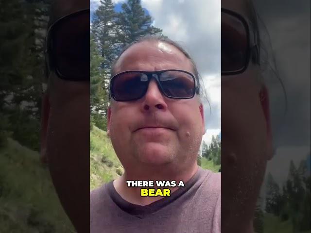 We Spotted a Bear in Yellowstone! Must See Wildlife