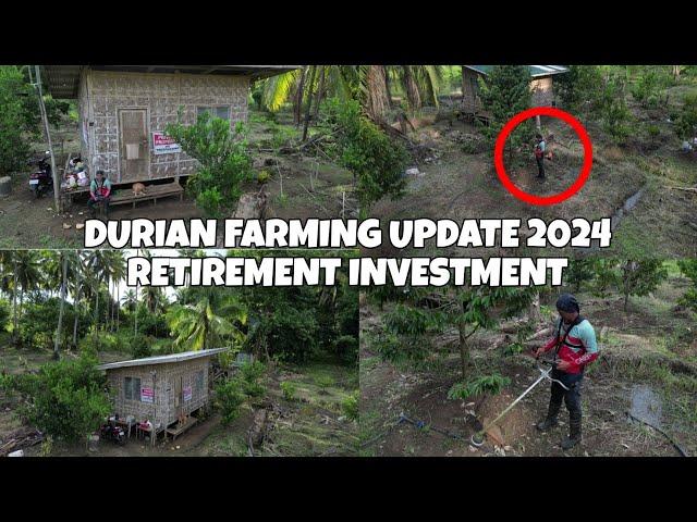 DURIAN FARMING UPDATE 2024.RETIREMENT INVESTMENT.