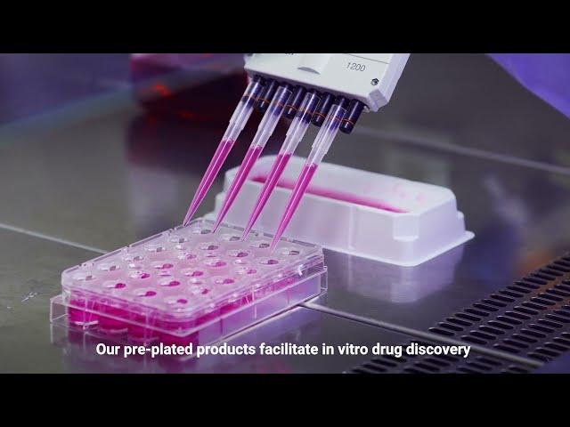 ReadyCell by MedTech Barcelona - Ready-to-use cell based in vitro plates