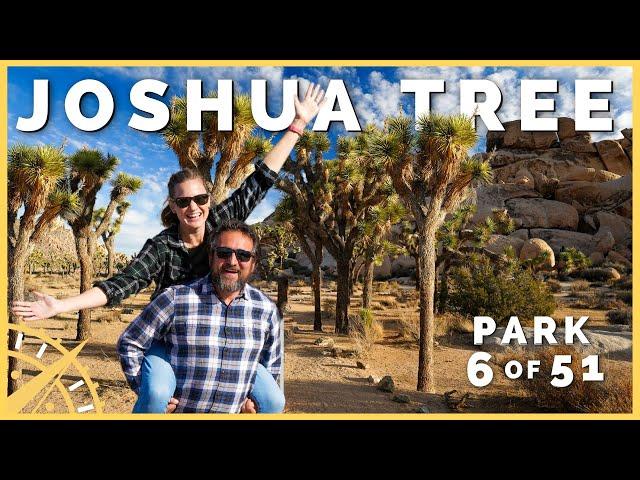 ️ Joshua Tree: When You Only Have One Day | 51 Parks with the Newstates