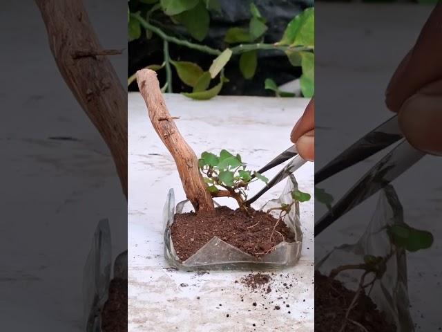 Nature art || at home made|| trending #short #video