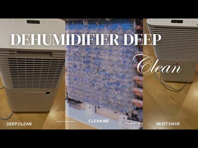 DEHUMIDIFIER DEEP CLEAN | CLEANING THE DEHUMIDIFIER | #cleaningmotivation