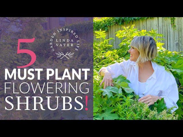 5 Flowering Shrubs You Must Grow!